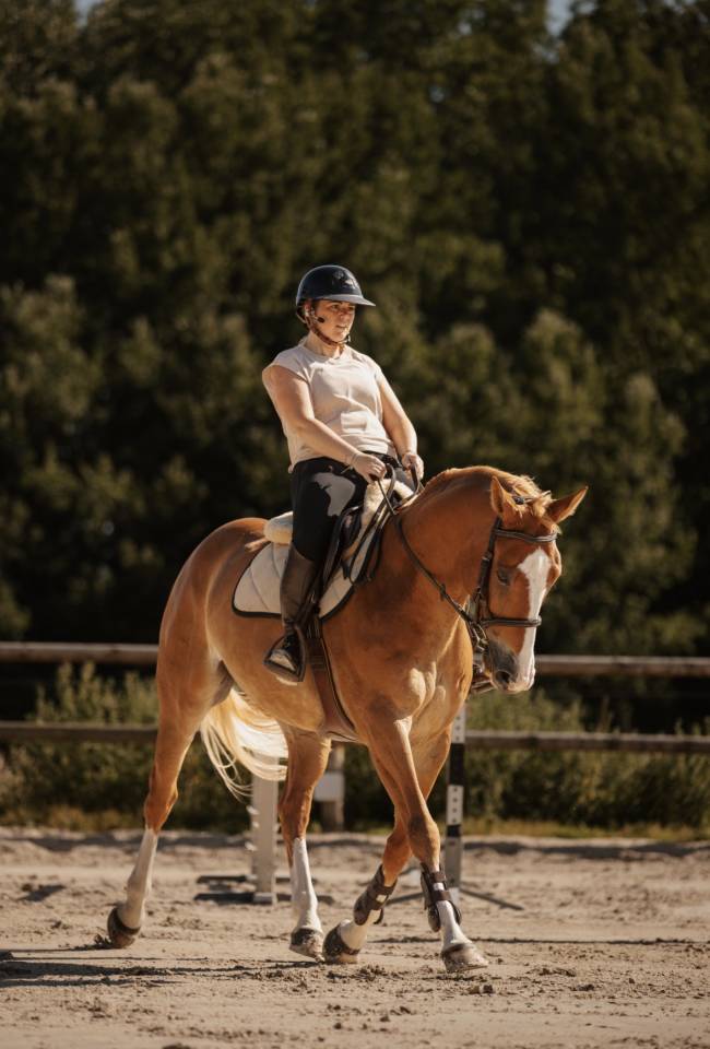 hongre alezan crins lav&eacute;s SF Polyvalent CSO/DRESS