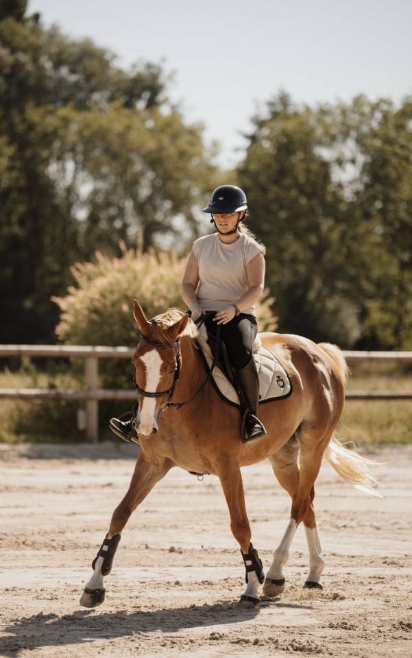 hongre alezan crins lav&eacute;s SF Polyvalent CSO/DRESS
