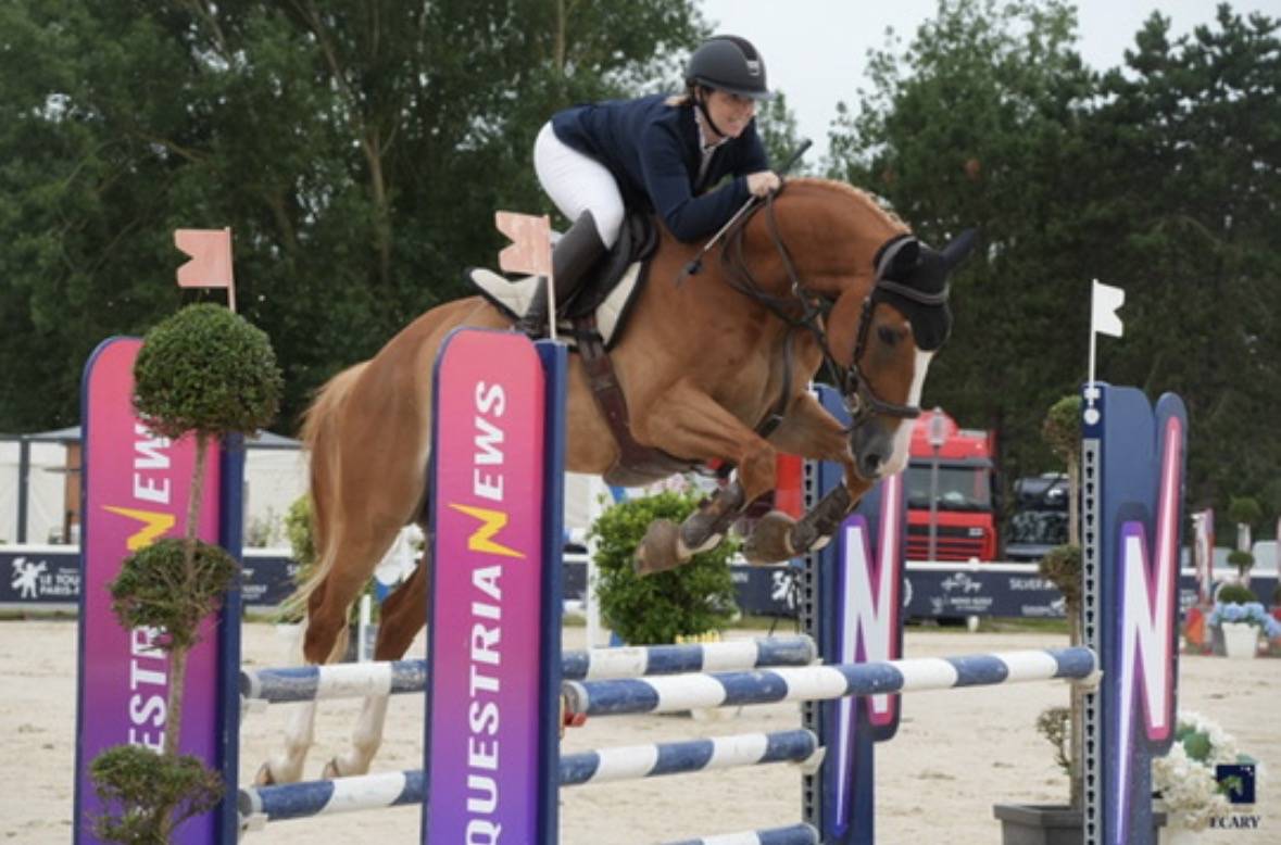 hongre alezan crins lav&eacute;s SF Polyvalent CSO/DRESS