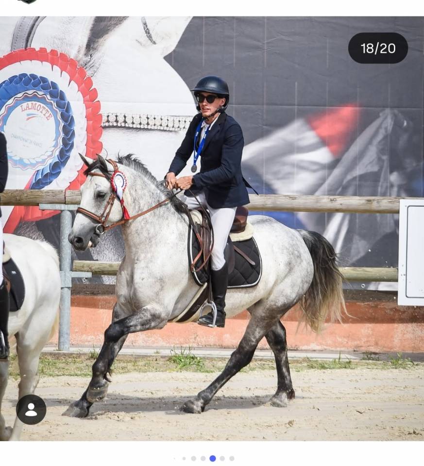 PONEYS A VENDRE