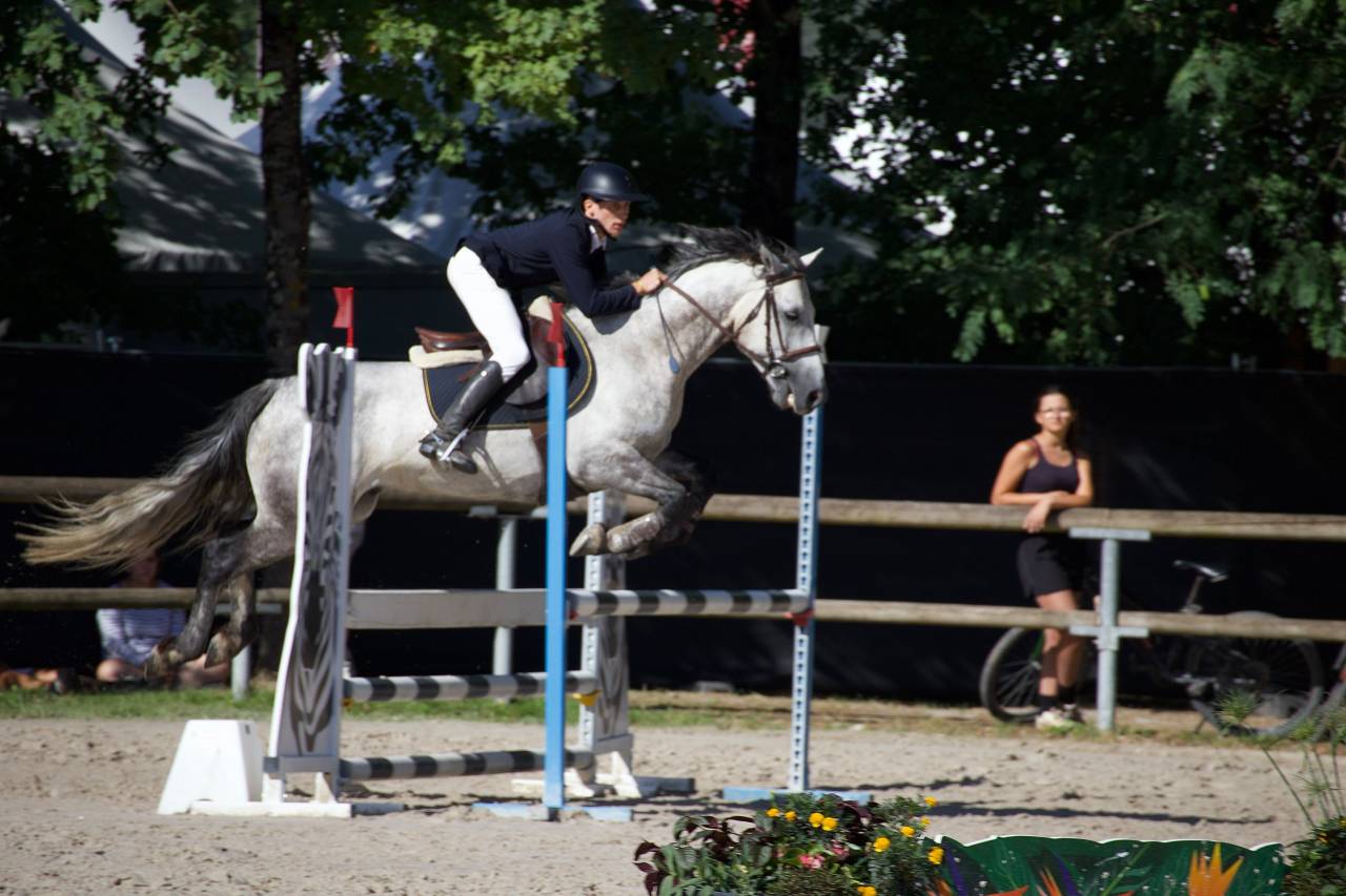 PONEYS A VENDRE