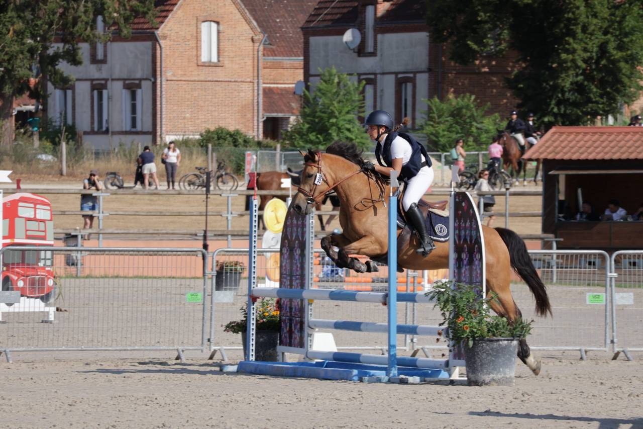 PONEYS A VENDRE