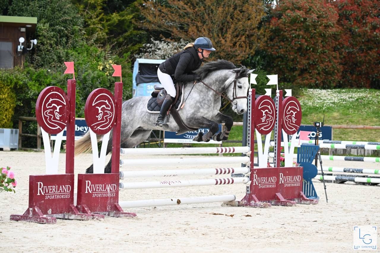 PONEY A VENDRE