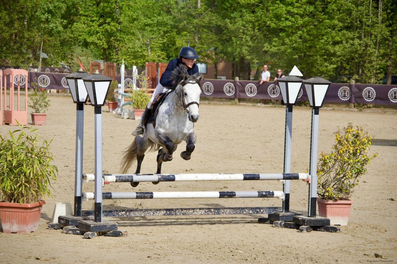 PONEY A VENDRE