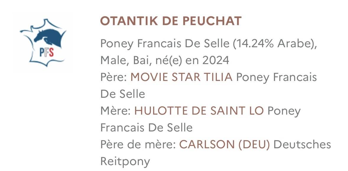 M&acirc;le 2 ans PFS par Movie Star Tilia 