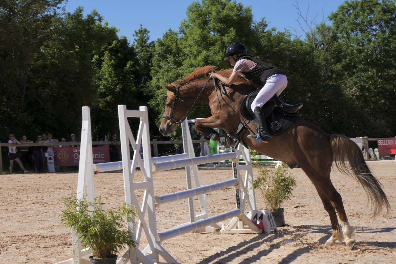 Poney &agrave; vendre - Magnifique poney de sport