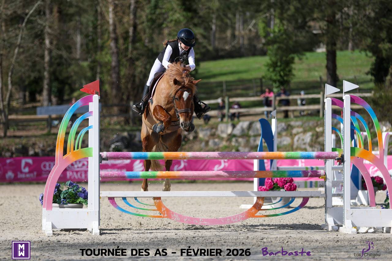 Poney &agrave; vendre - Magnifique poney de sport