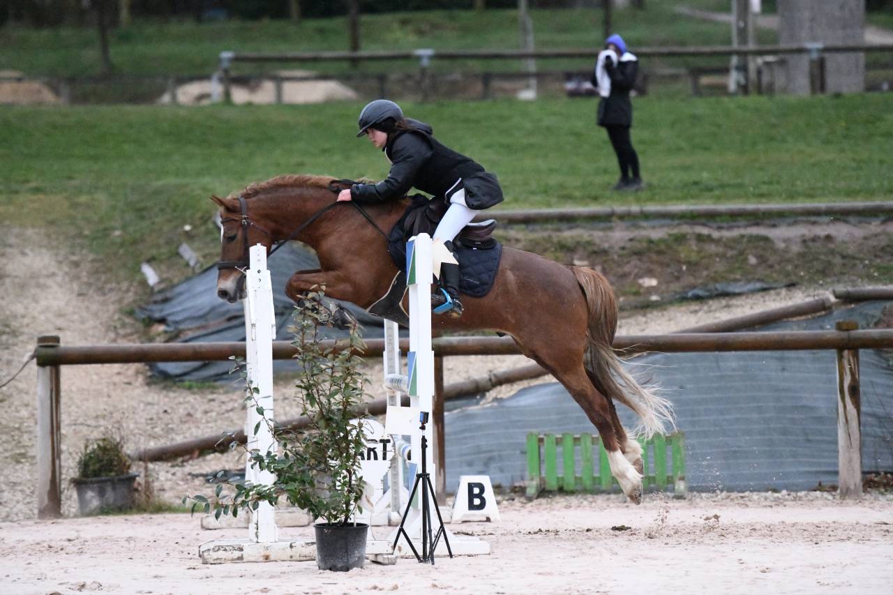 Poney &agrave; vendre - Magnifique poney de sport