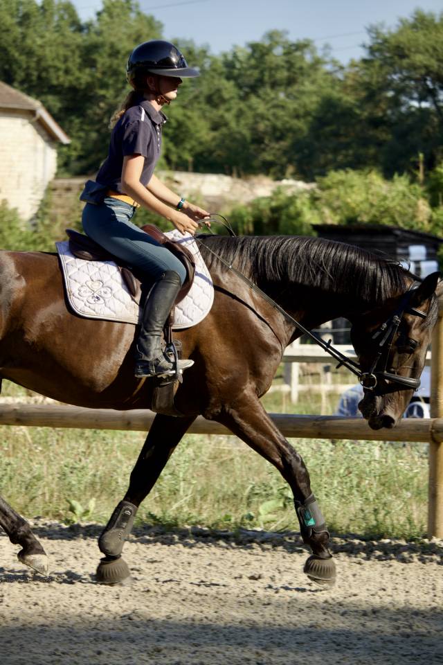 Cheval de loisir 