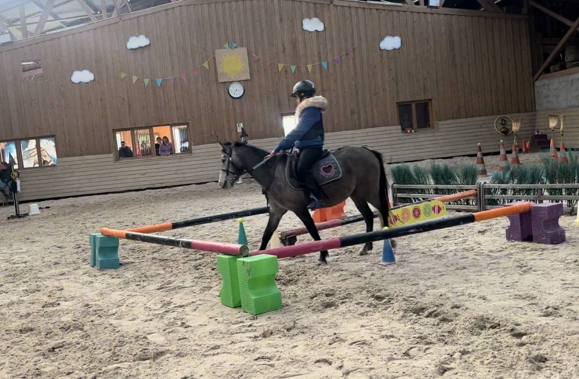 Ponette taille B polyvalente 