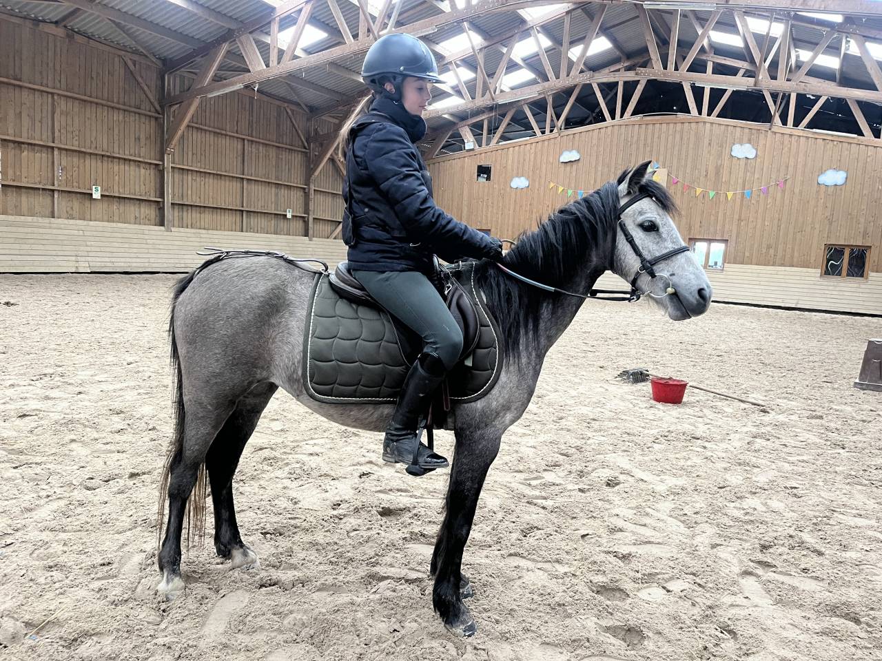 Ponette taille B polyvalente 