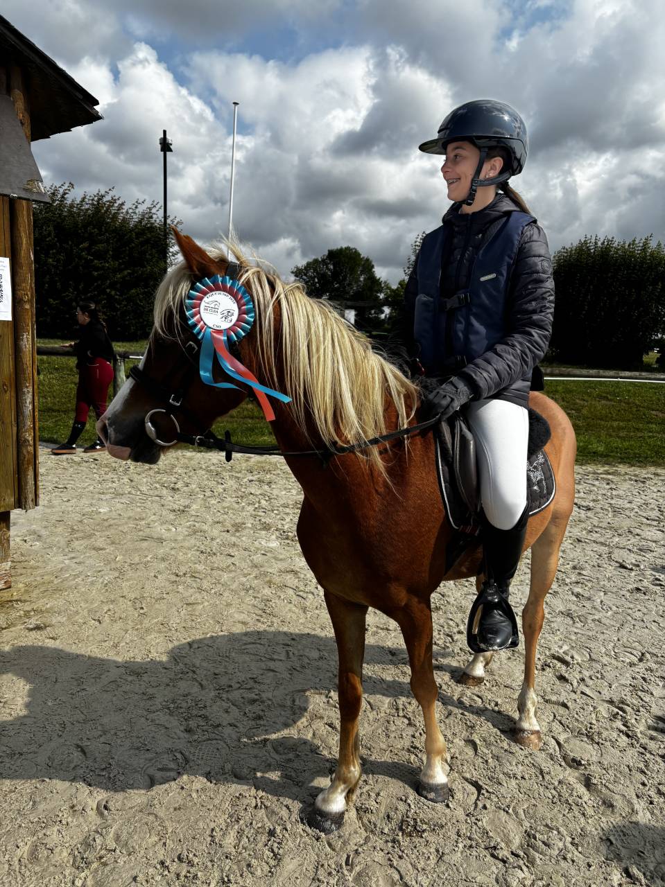 Poney taille B 