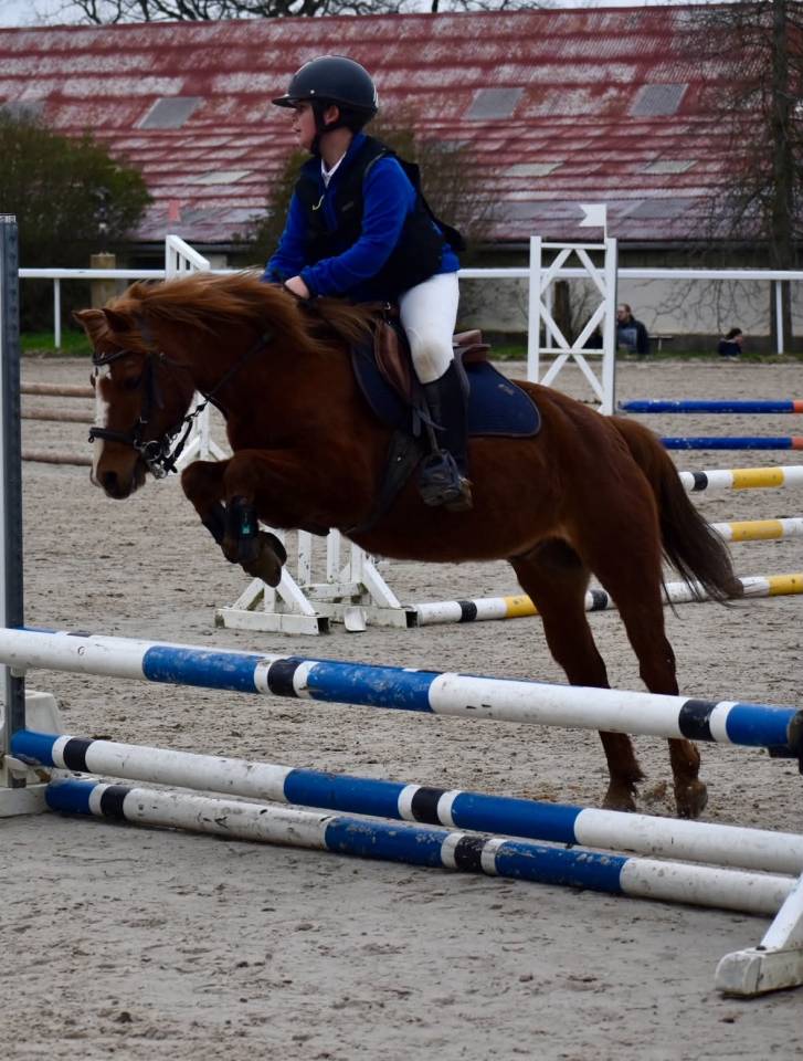 Poney taille B &agrave; louer 