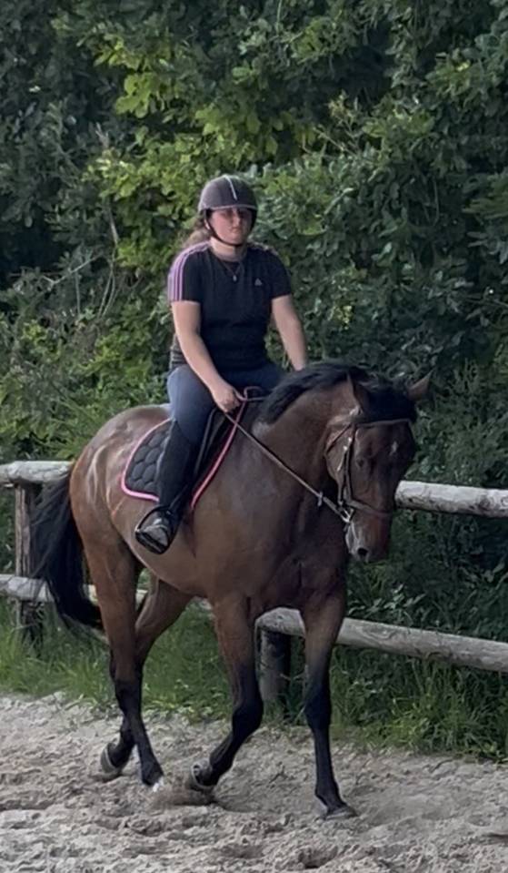 demi pension cheval 4 ans 