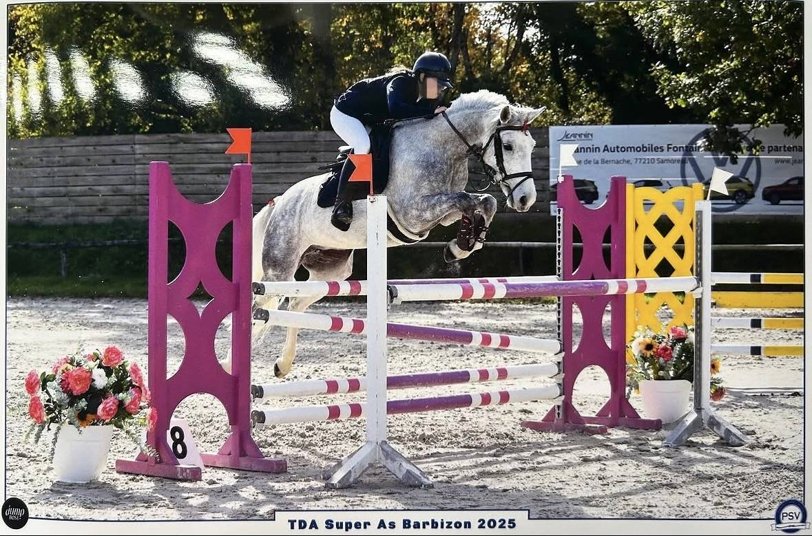 Ponette D de sport