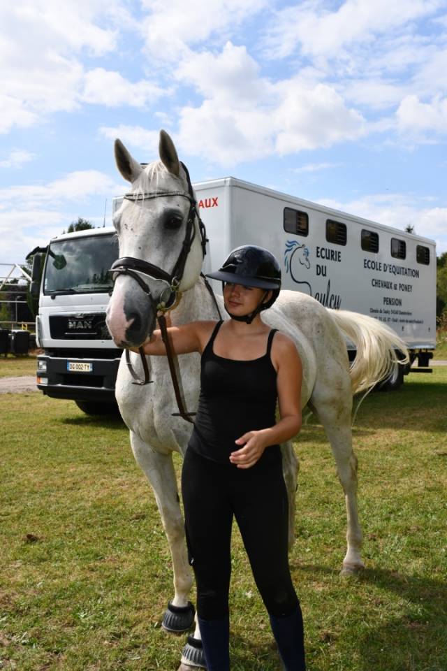 cheval &agrave; vendre