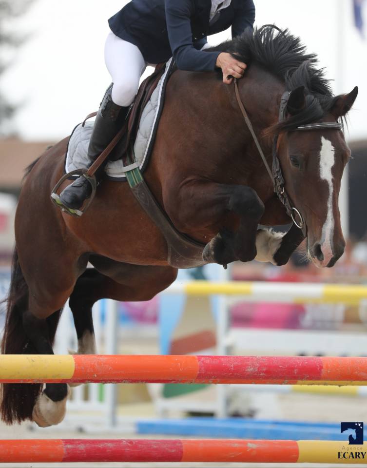 &Agrave; LOUER  Ponette CSO As