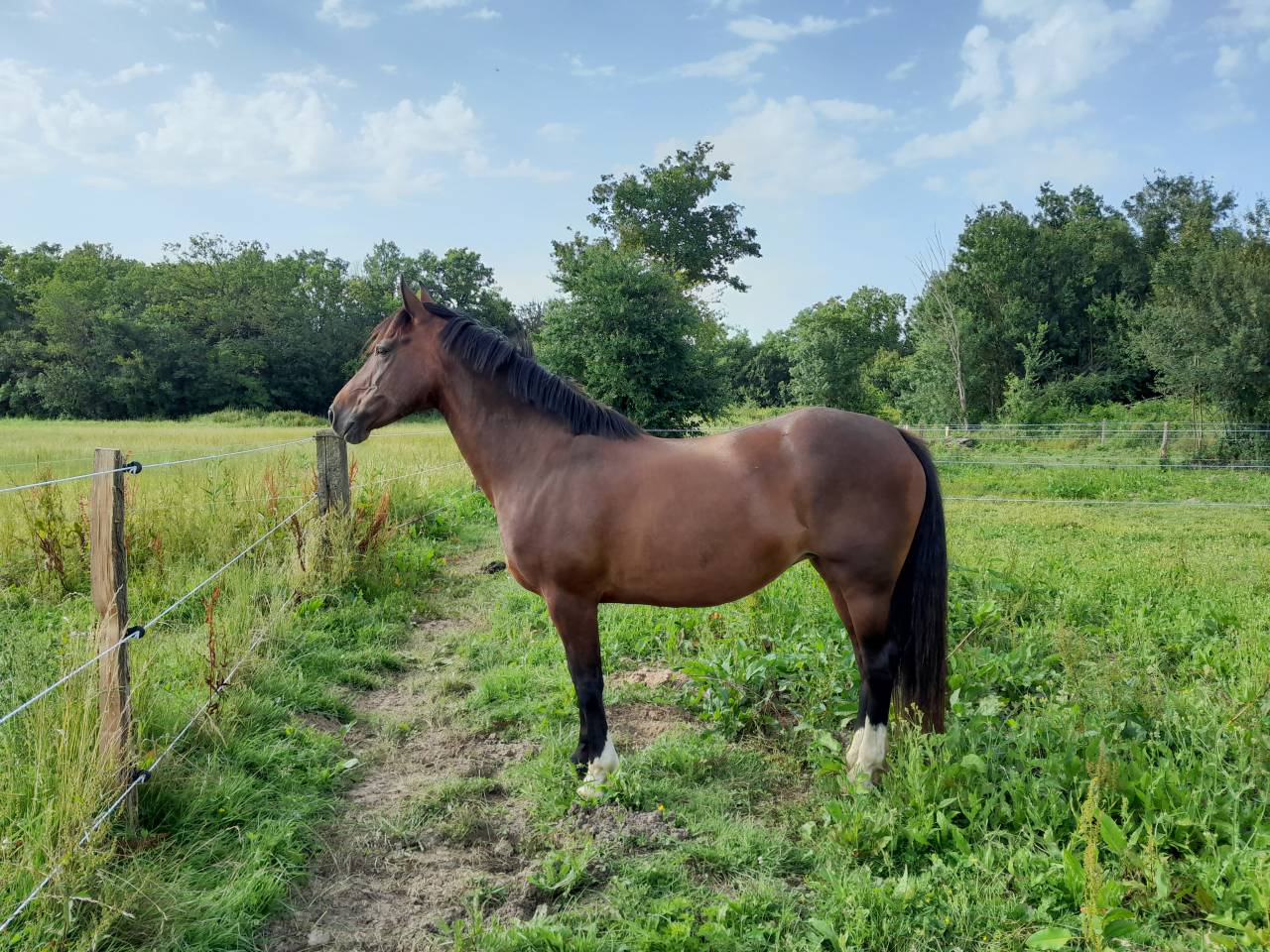 &Agrave; LOUER  Ponette CSO As