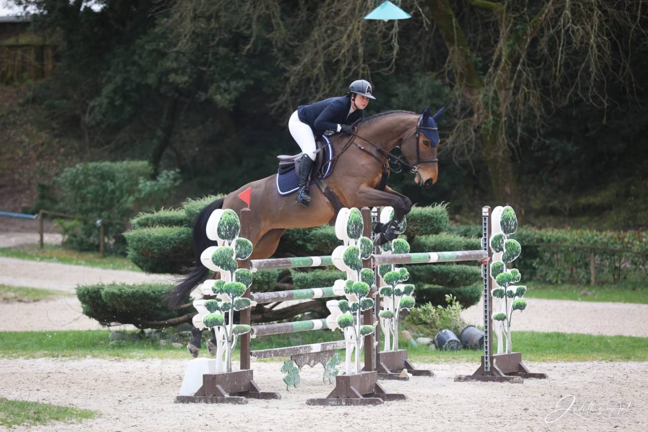 Superbe jument de 7ans