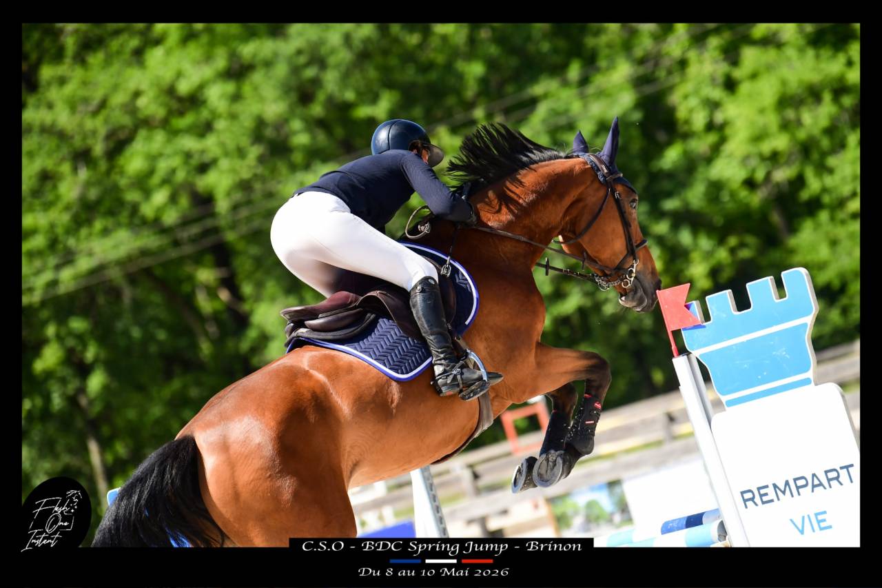 Superbe jument de 7ans