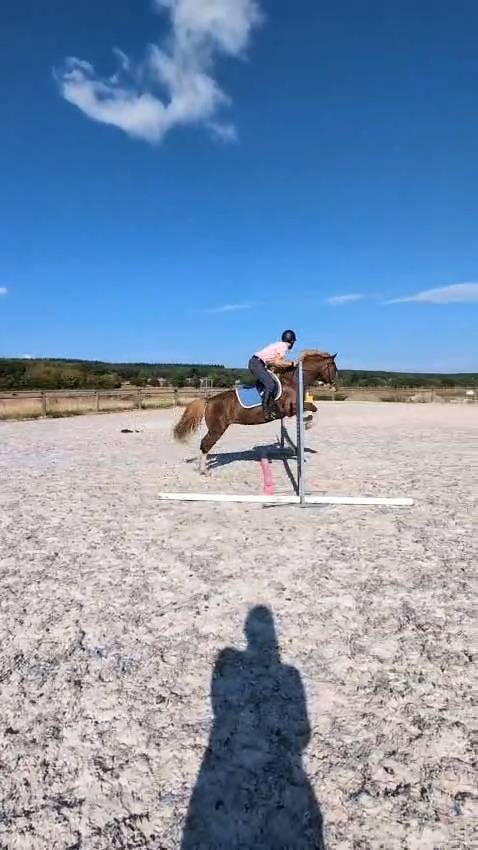 Ponette C top mental, bonnes origines
