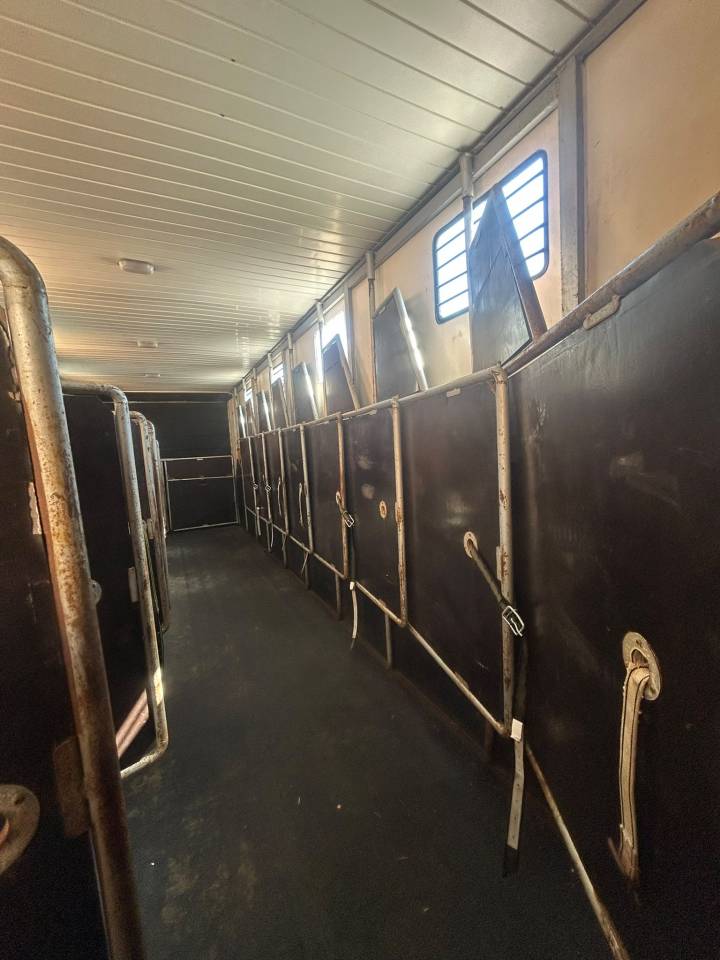 Camion chevaux 9 places