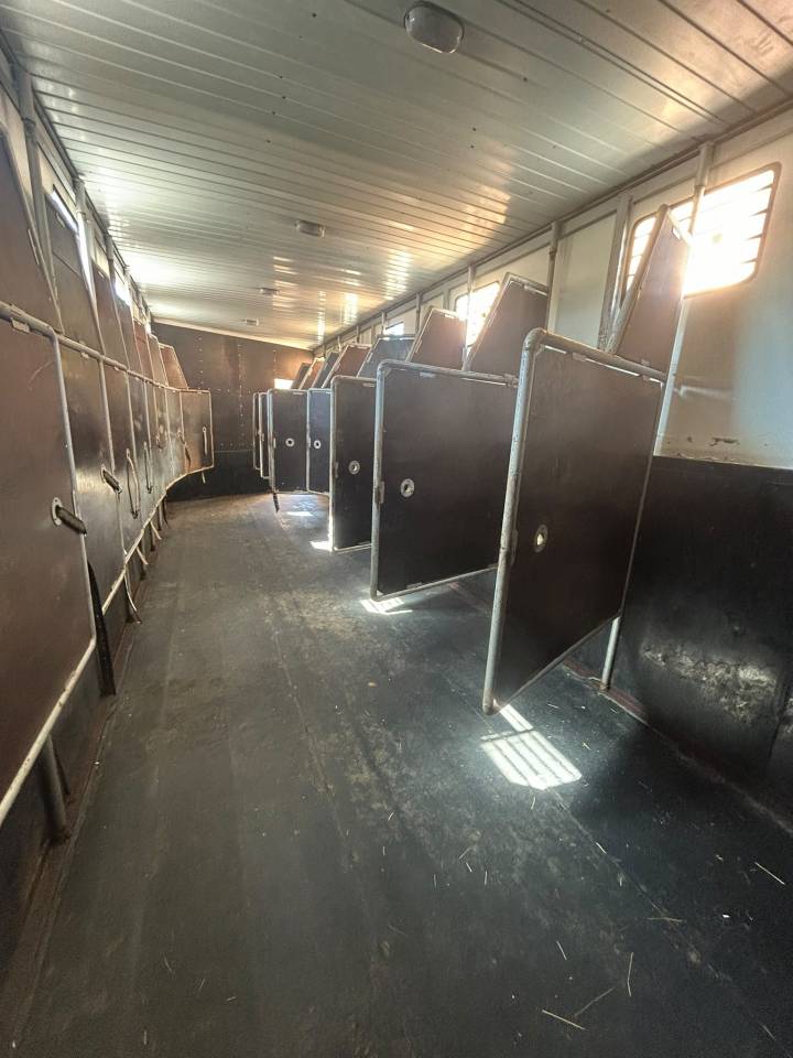 Camion chevaux 9 places