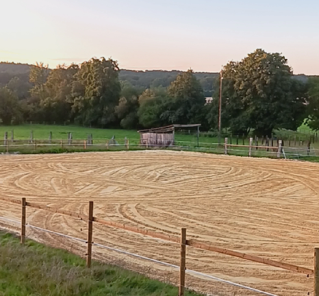 Pension au pr&eacute; cheval 