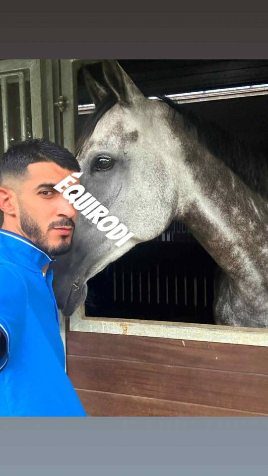 Je recherche un poste de Palefrenier (Sofien)