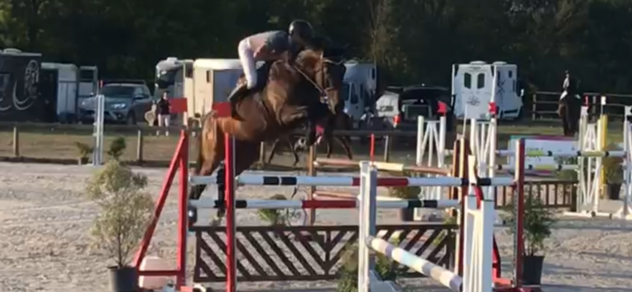 SF 11 ans class&eacute; gagnant 120/125