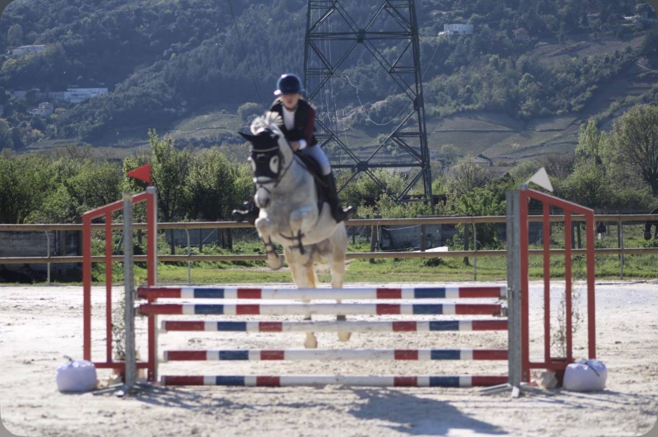 ⭐️ jolie cheval polyvalent⭐️