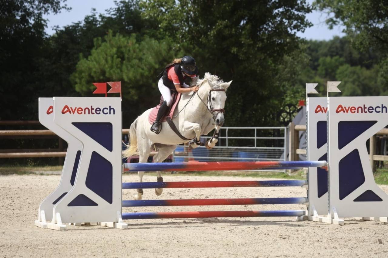 ⭐️ jolie cheval polyvalent⭐️