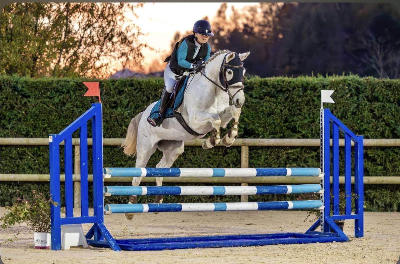 ⭐️ jolie cheval polyvalent⭐️