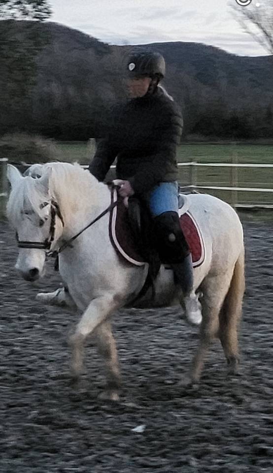 Poney oc a confier 
