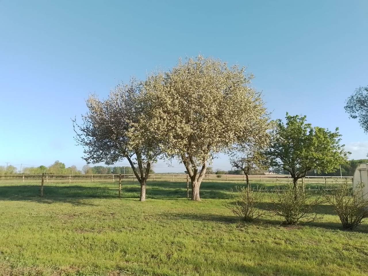 1018211_1786209682_9961.jpg