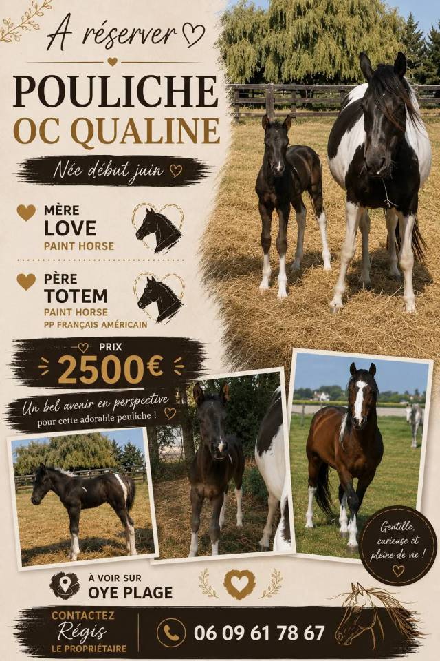 Pouliche Qualine