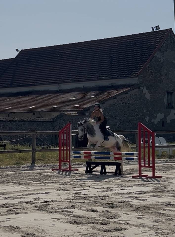 GRAND PONEY C