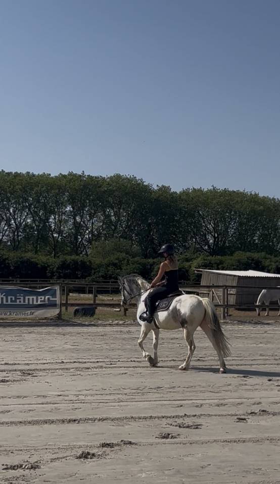 GRAND PONEY C