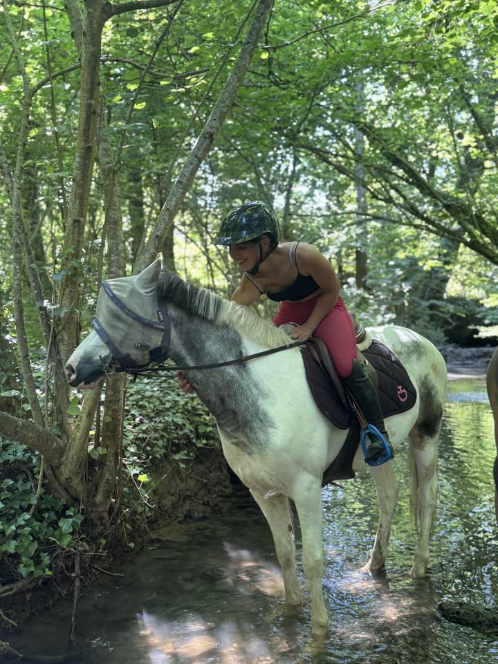 GRAND PONEY C