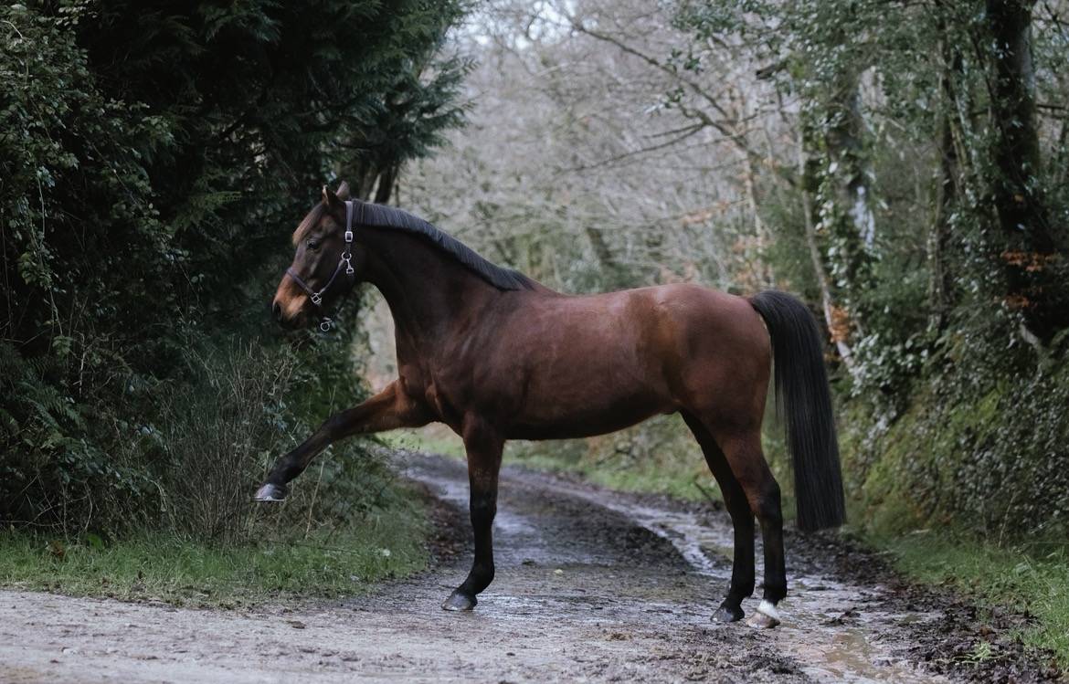 Coat Arvorig &ndash; 14 ans, 1m57 