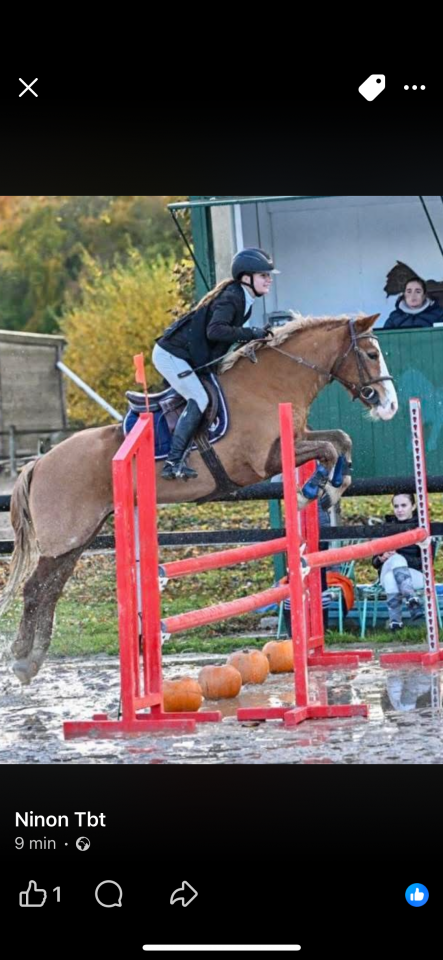 Poney d polyvalent 