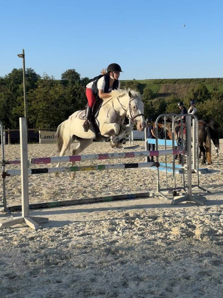 A Louer Ponette D