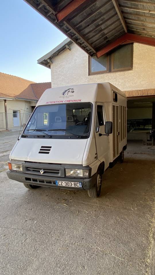 Renault master camion chevaux 