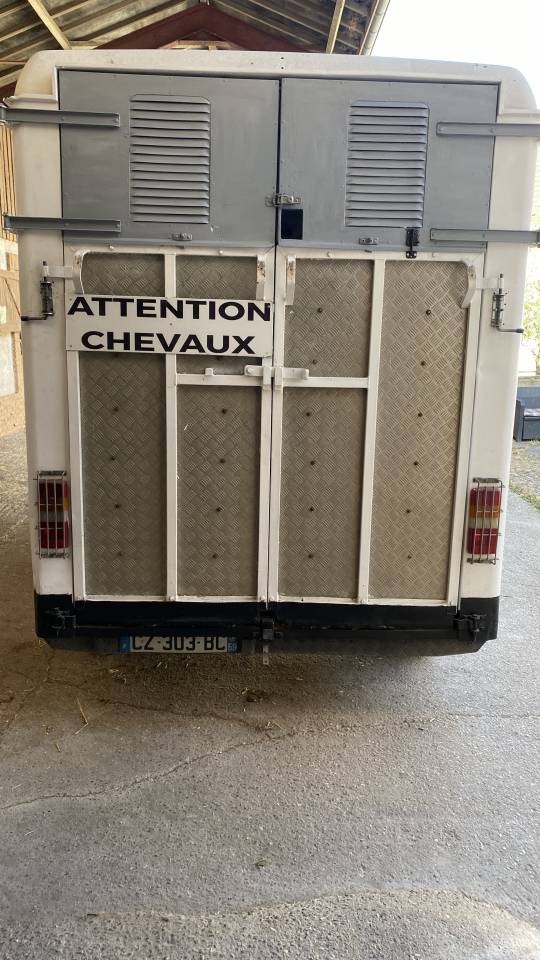 Renault master camion chevaux 