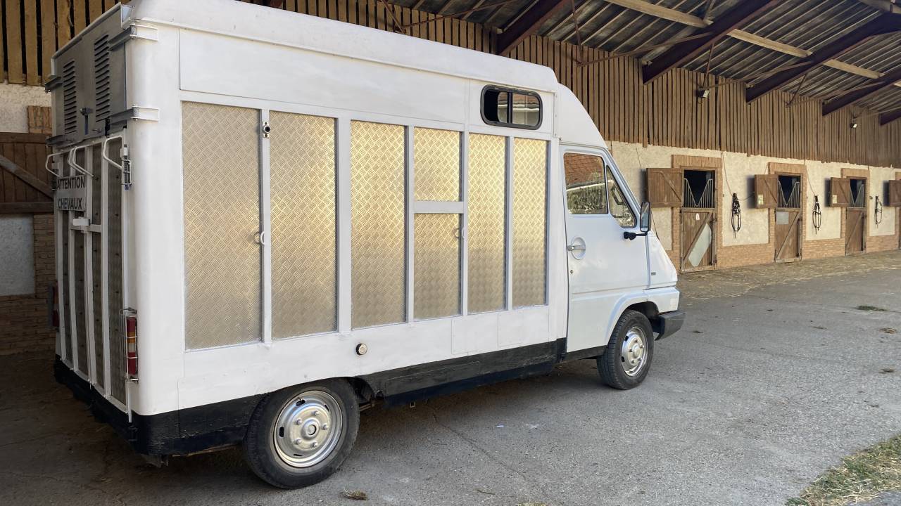 Renault master camion chevaux 