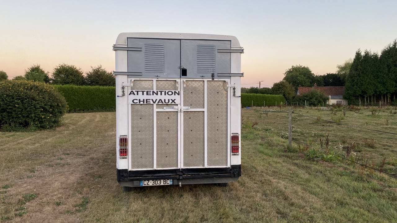 Renault master camion chevaux 