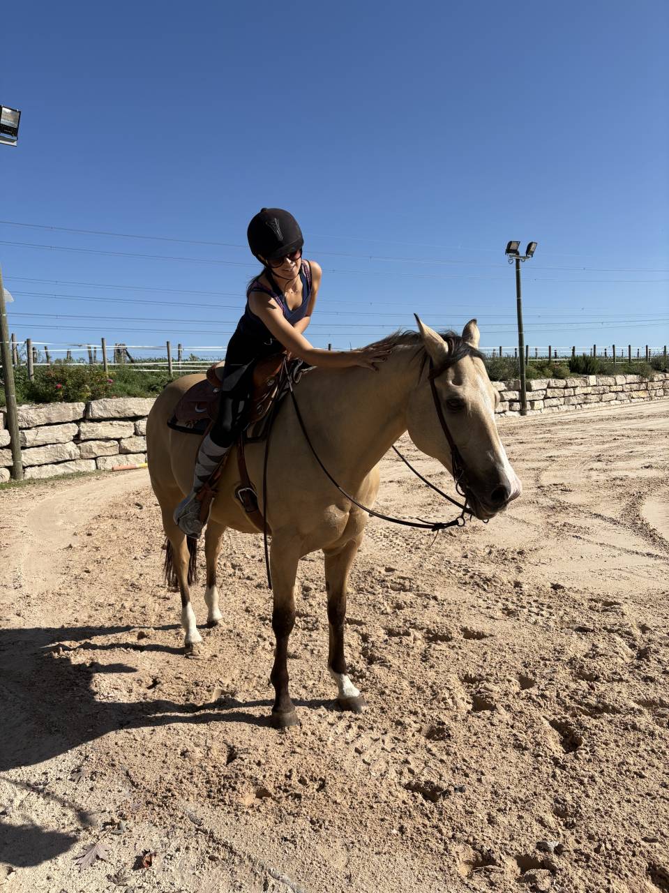 Demi-pension sur quarter horse