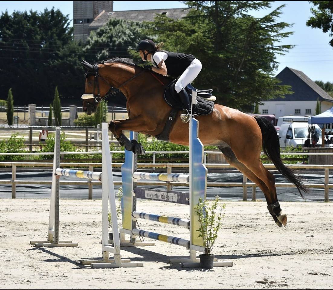 Hongre 9ans - CSO amateur 1