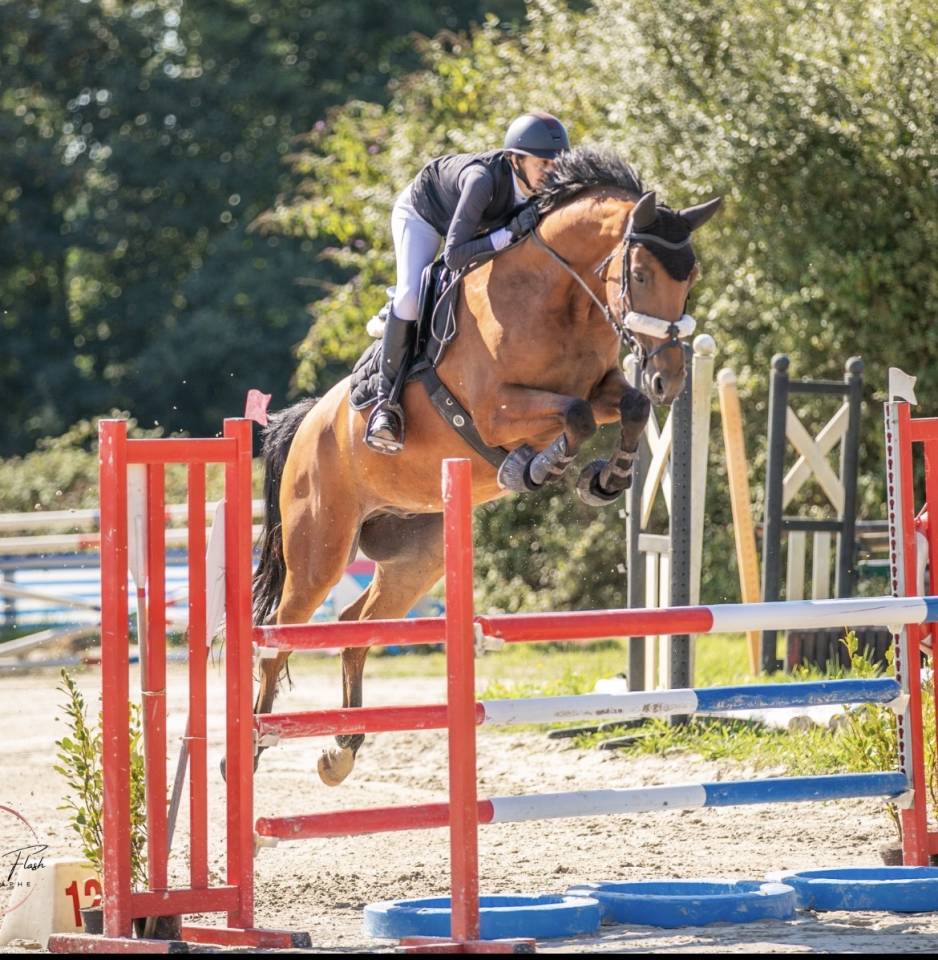 Hongre 9ans - CSO amateur 1