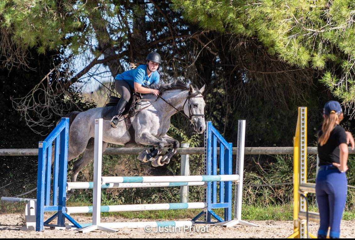 Jument de sport  